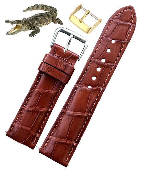 alligator straps for men